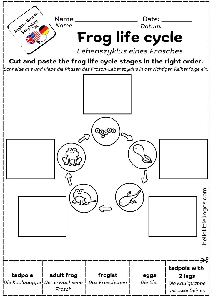 free pdf science worksheets for primary students