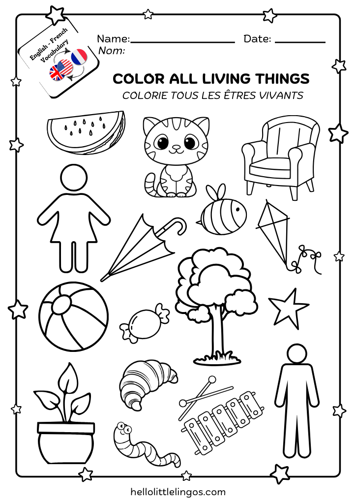 bilingual activities for kids - english and french coloring worksheet