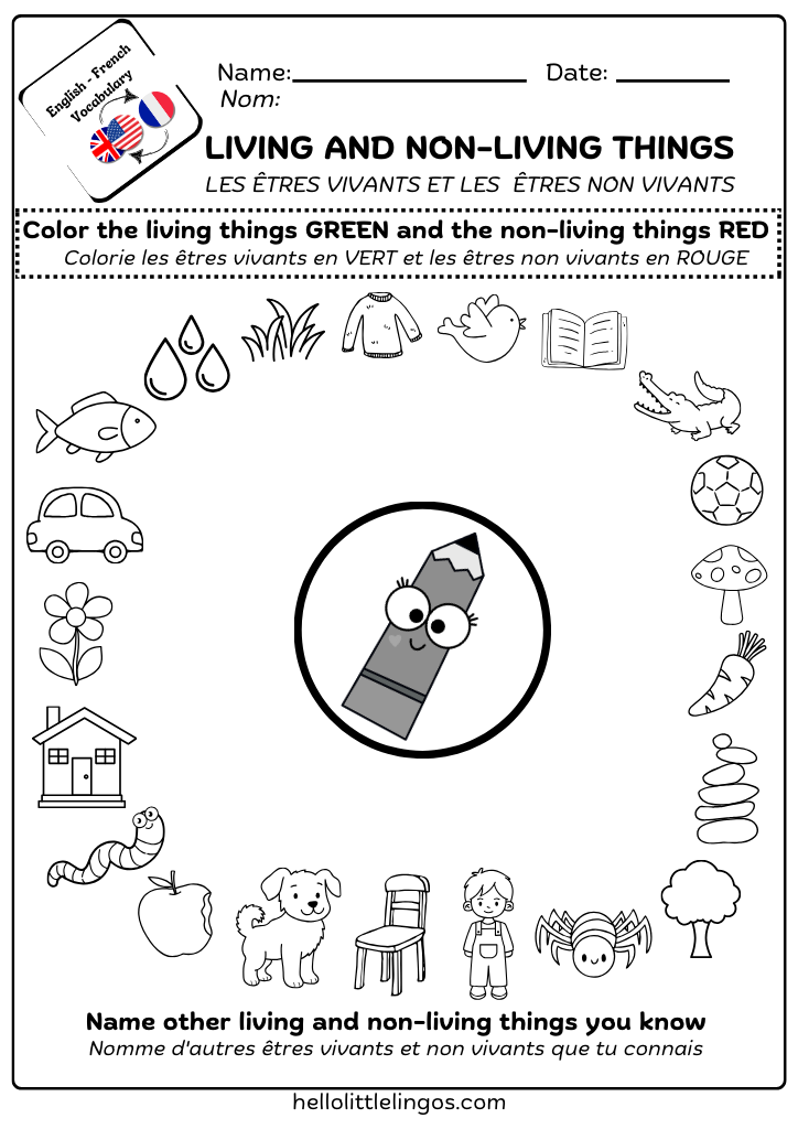 english and french science activities for kids - living and non-living things