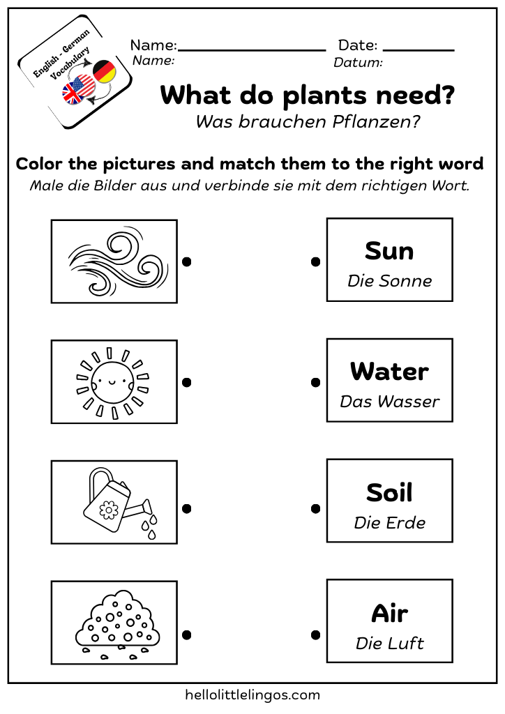 easy science printable worksheets for kindergarten - plants