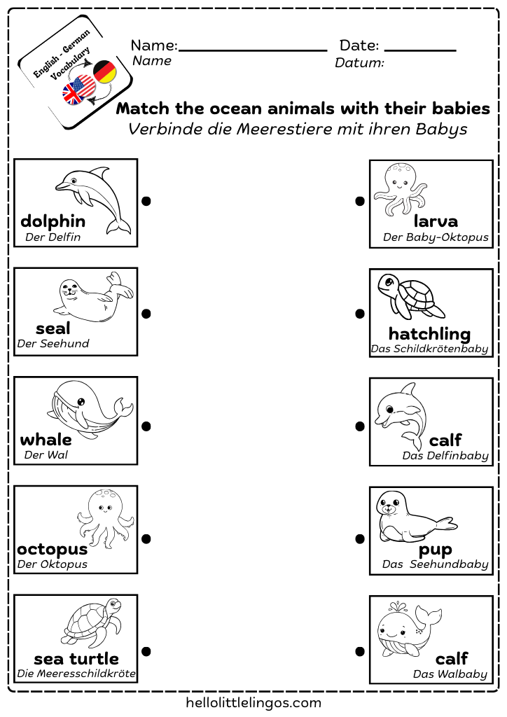 kids science worksheets for kids in english and german - animals