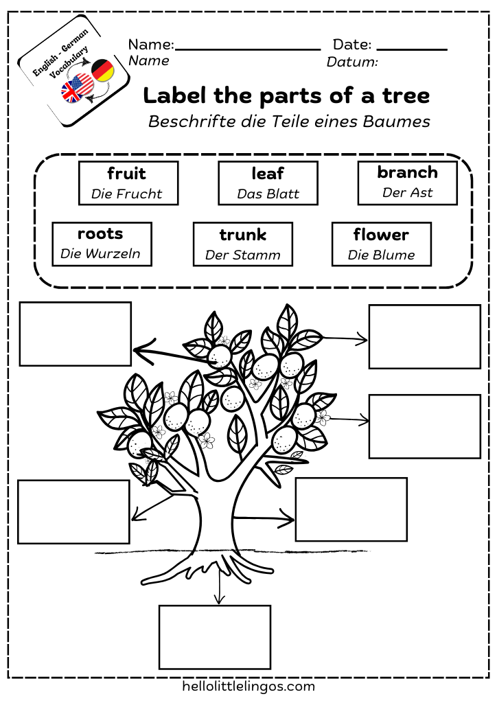 free bilingual science workhseets for kids