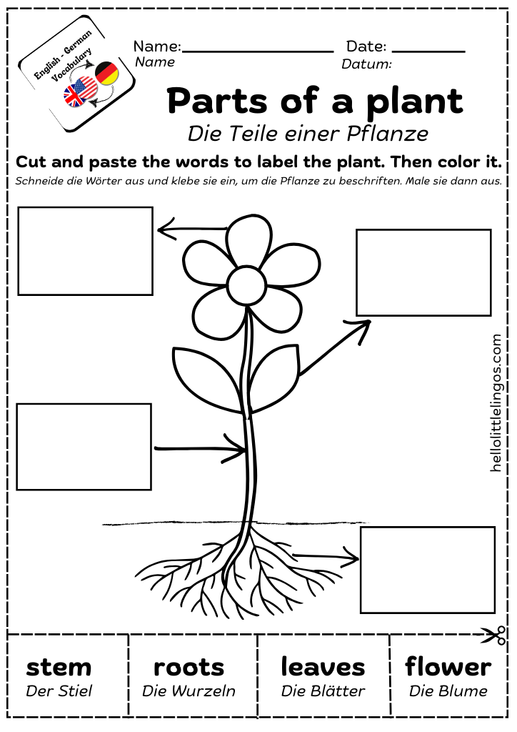 cut and paste science worksheets for children-parts of the plants
