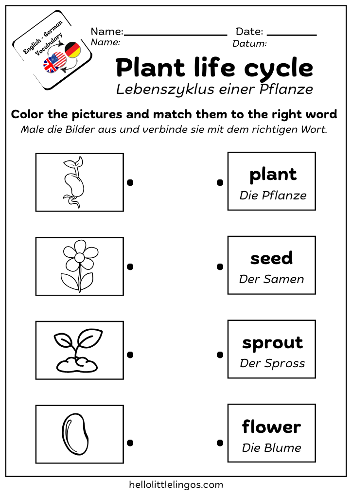 free science activities worksheets for teachers -plants