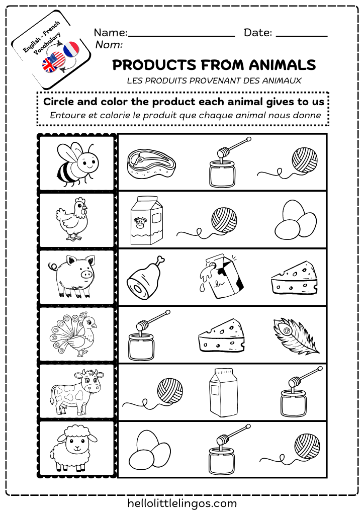 easy science worksheets for children- free pdf printable