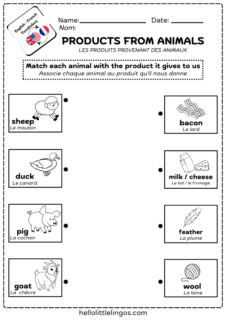 fun science printable worksheets for kindergarten - matching products from animals
