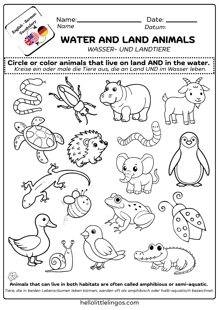 easy science activities for kindergarten - animals