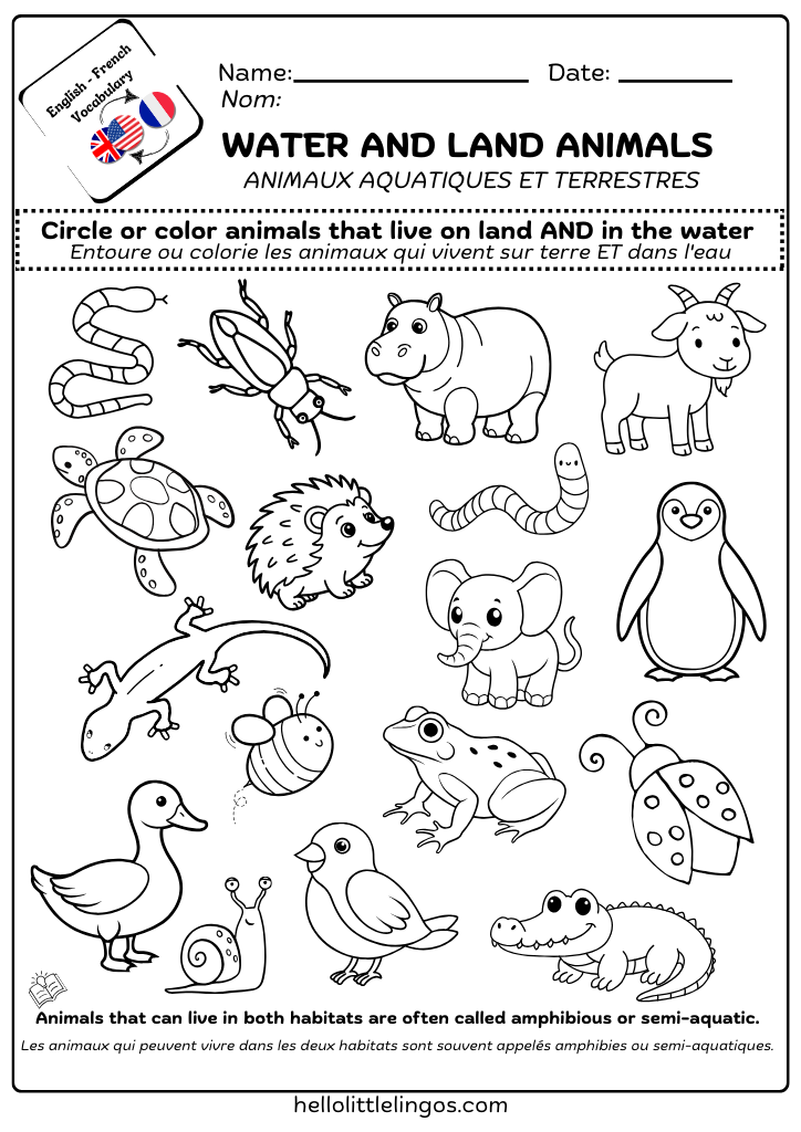 easy science activities worksheets for kids - water ans land animals