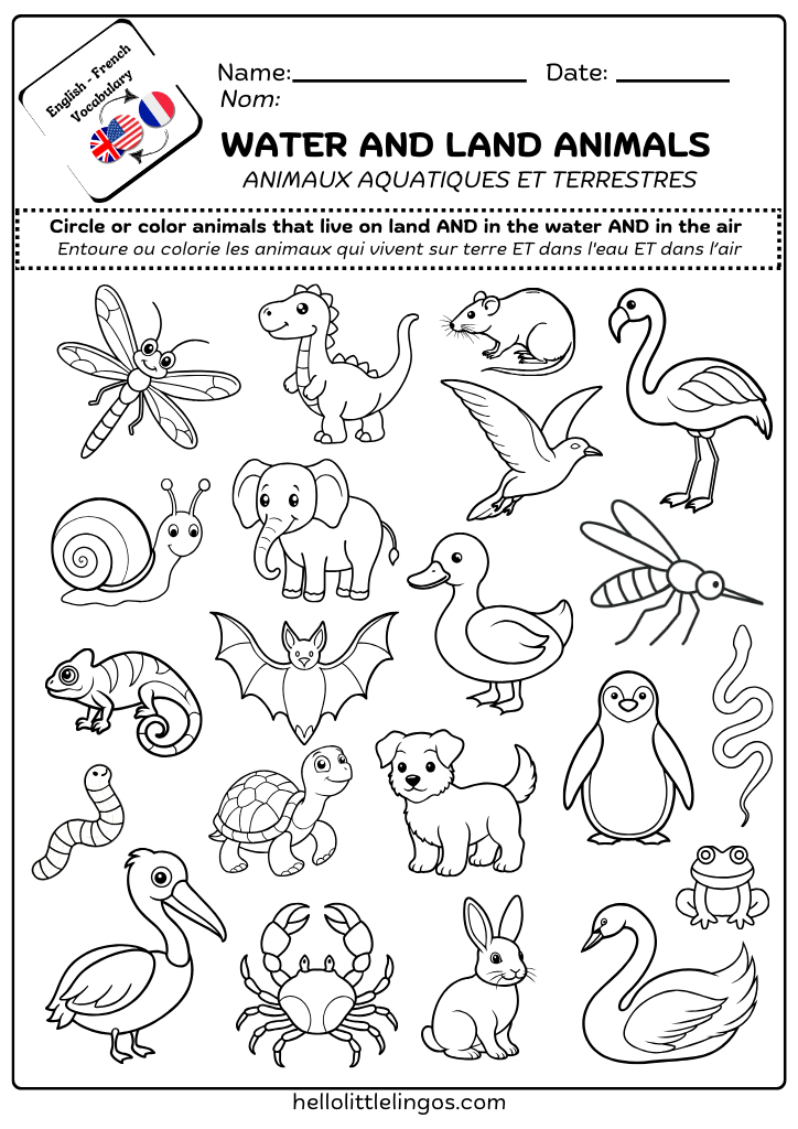 free science worksheets for kindergarten-water and land animals