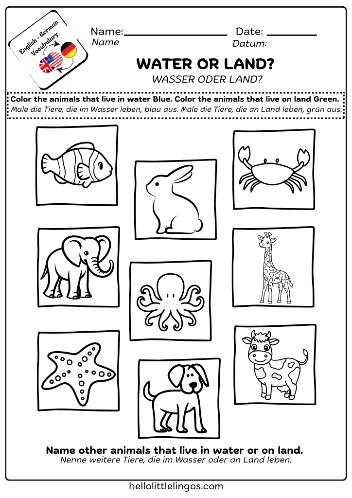 fun german exercices for kindergarten - animals coloring