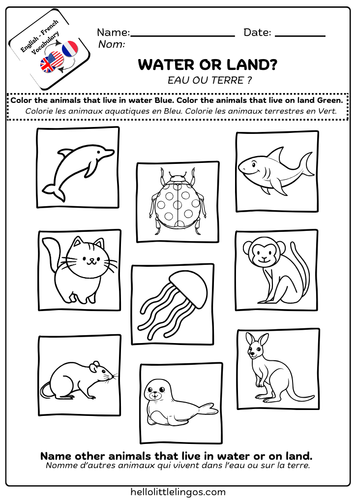 fun science activities for kindergarten - water or land animals