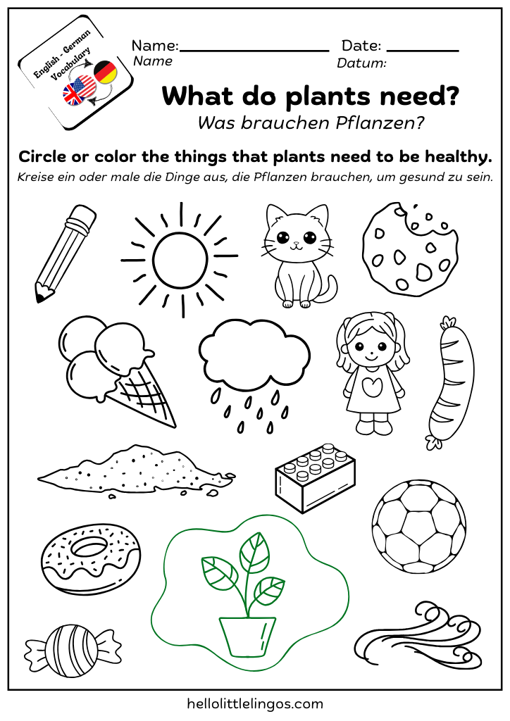 free printable science worksheets for kindergarten-what do plants need